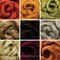 Egyptian Cotton - Beautifully Dyed Vivid Colors, Combed Top Roving for Spinning, Blending, Felting, Weaving.